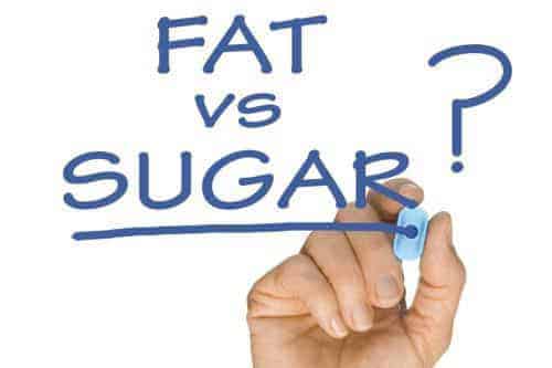 fat vs sugar debate