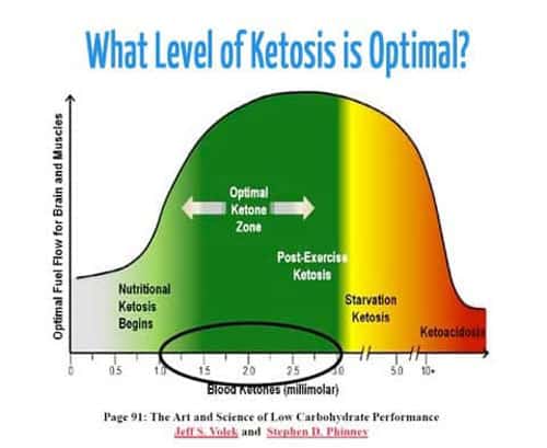 optimal ketone levels