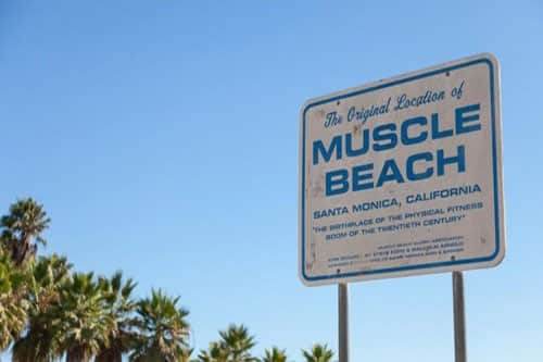 muscle beach